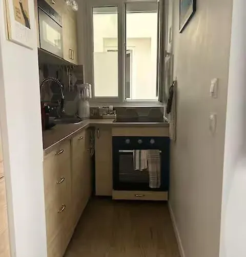 Apartament Cozy In Voltaire *